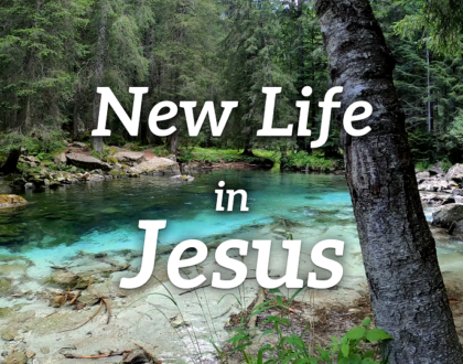 New Life in Jesus pt 2: Courage to Die.
