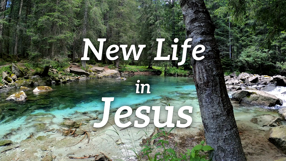 Baptism and Communion - Celebrating New Life in Jesus